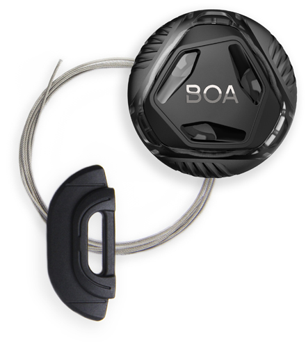 The Boa System